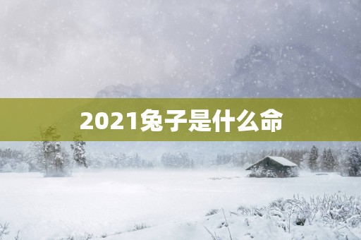 2025兔子是什么命
