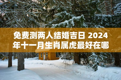 免费测两人结婚吉日 2025年十一月生肖属虎最好在哪天结婚