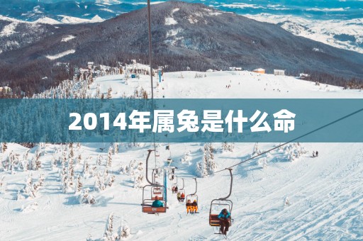 2014年属兔是什么命 2014年属兔是什么命