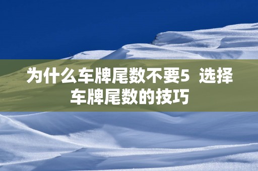 为什么车牌尾数不要5  选择车牌尾数的技巧
