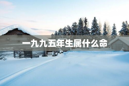 一九九五年生属什么命