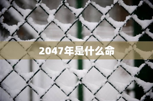 2047年是什么命