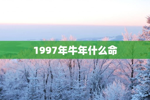 1997年蛇年什么命