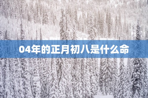 04年的正月初八是什么命