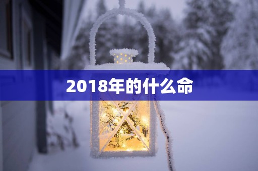 2018年的什么命