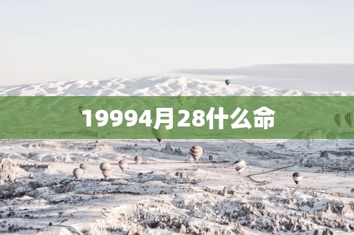 19994月28什么命