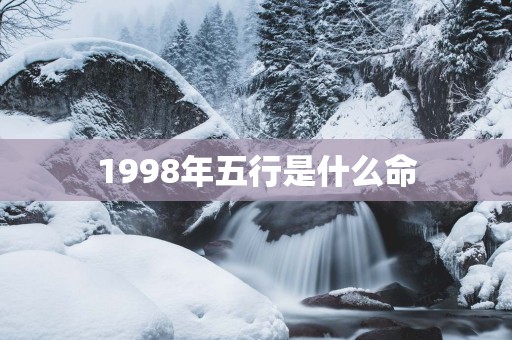 1998年五行是什么命
