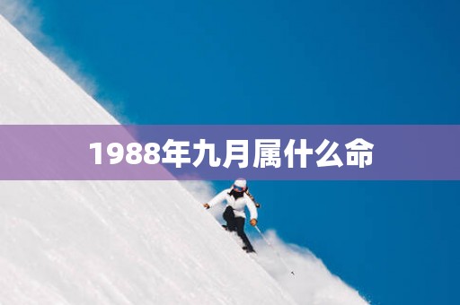 1988年九月属什么命