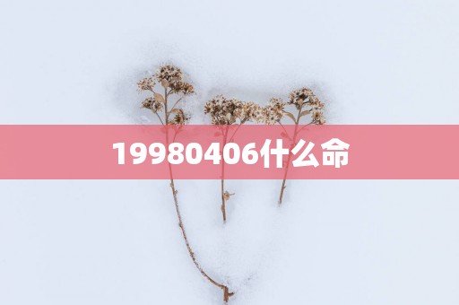 19980406什么命