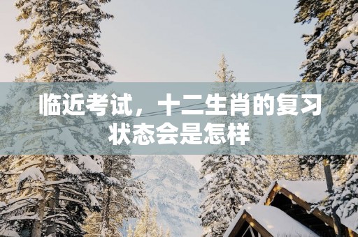 临近考试，十二生肖的复习状态会是怎样