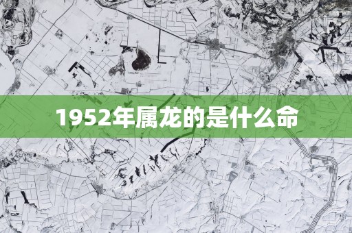 1952年属龙的是什么命
