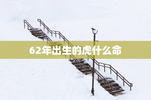 62年出生的虎什么命