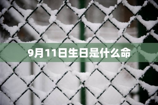 9月11日生日是什么命