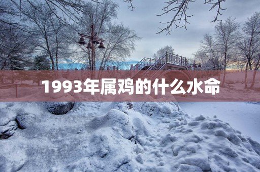 1993年属鸡的什么水命