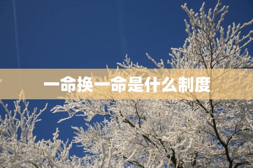一命换一命是什么制度