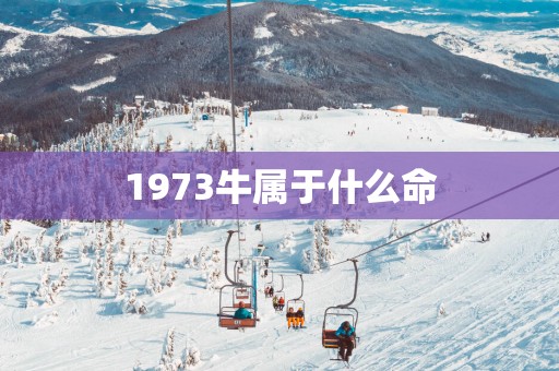 1973牛属于什么命