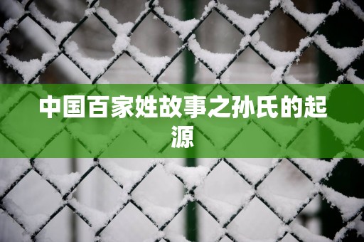 中国百家姓故事之孙氏的起源