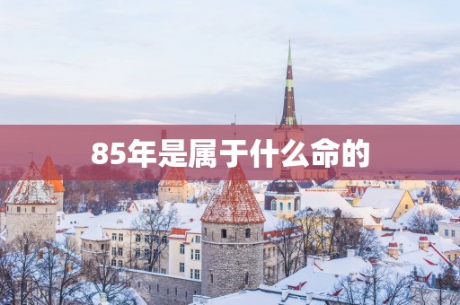 85年是属于什么命的