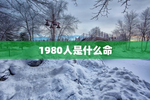 1980人是什么命