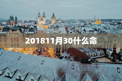 201811月30什么命