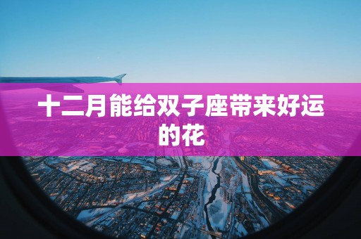 十二月能给双子座带来好运的花