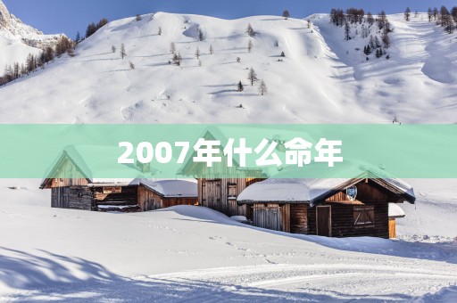 2007年什么命年