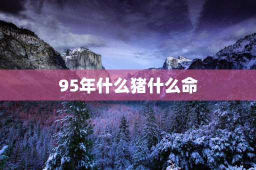 95年什么猪什么命