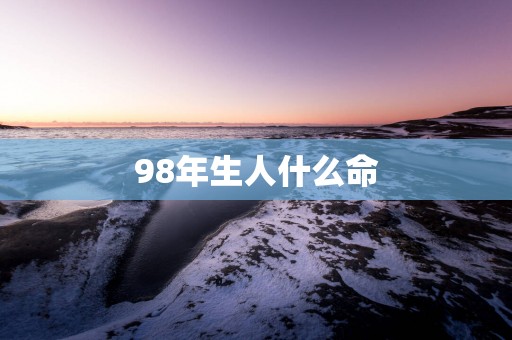 98年生人什么命