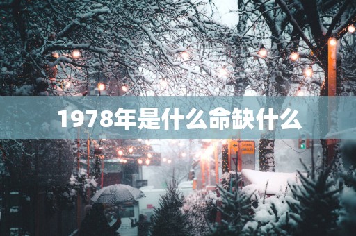 1978年是什么命缺什么
