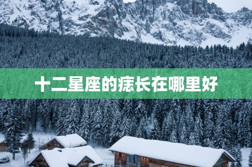 十二星座的痣长在哪里好