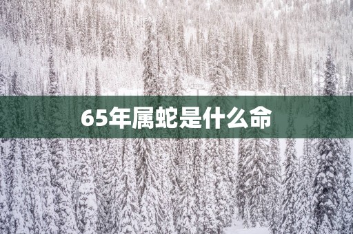 65年属蛇是什么命