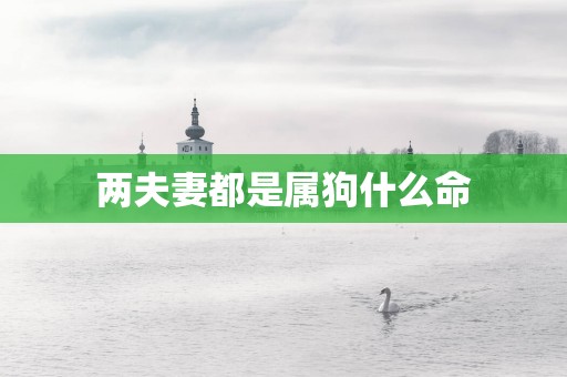 两夫妻都是属狗什么命