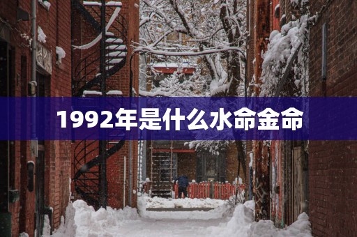 1992年是什么水命金命