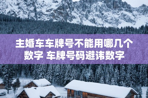 主婚车车牌号不能用哪几个数字 车牌号码避讳数字