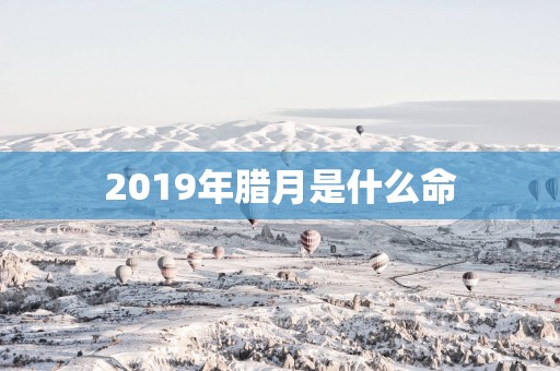 2019年腊月是什么命