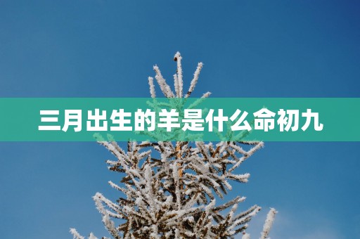三月出生的羊是什么命初九