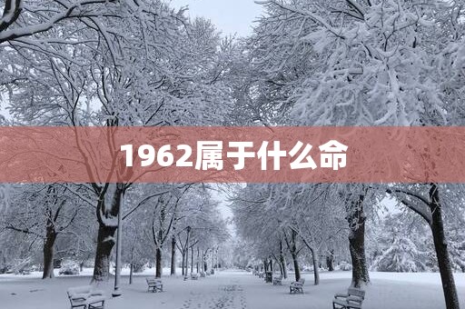 1962属于什么命