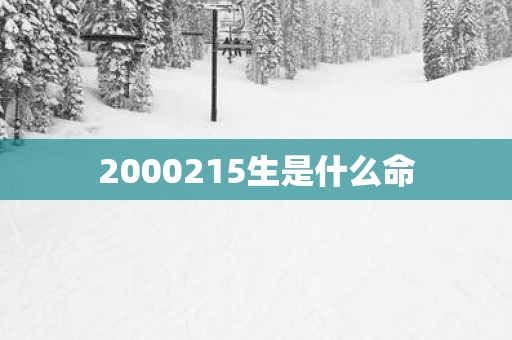2000215生是什么命