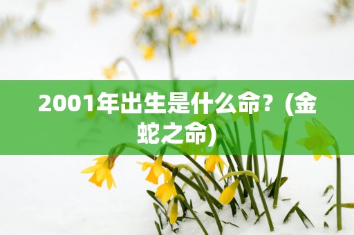 2001年出生是什么命？(金蛇之命)