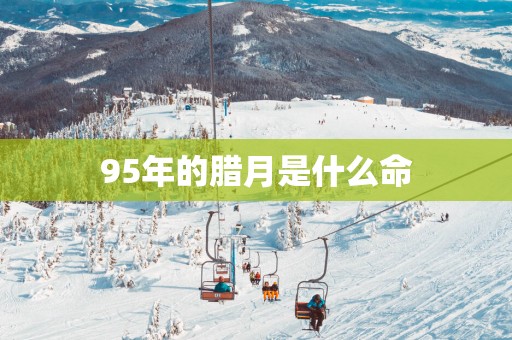 95年的腊月是什么命
