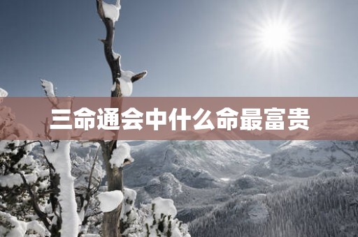 三命通会中什么命最富贵
