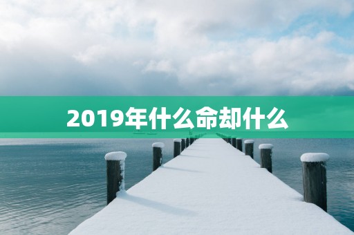 2019年什么命却什么 2019年什么命却什么
