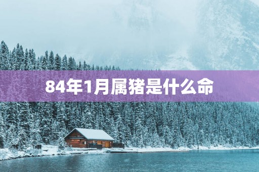 84年1月属猪是什么命
