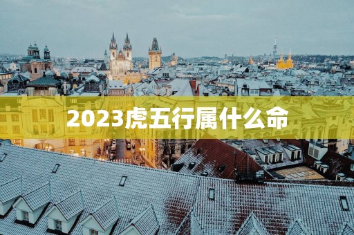 2025虎五行属什么命