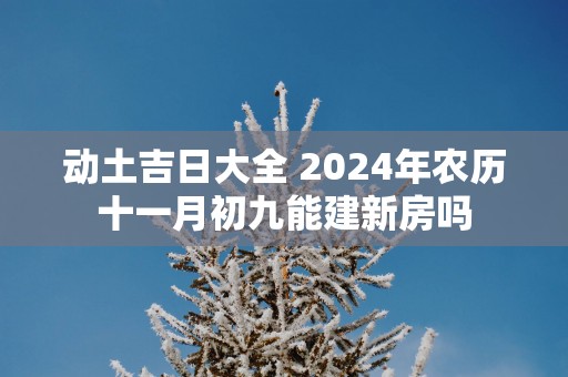 动土吉日大全 2025年农历十一月初九能建新房吗