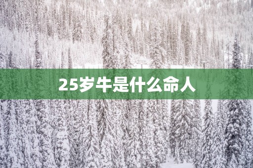 25岁牛是什么命人