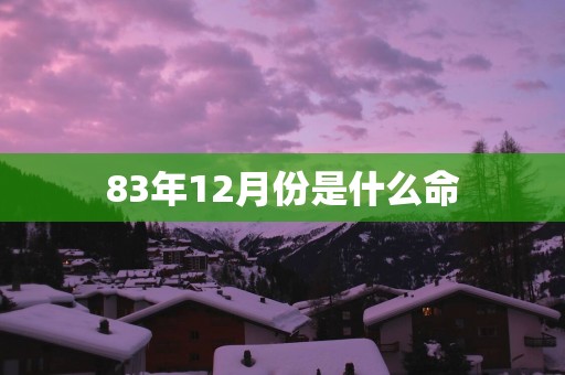 83年12月份是什么命