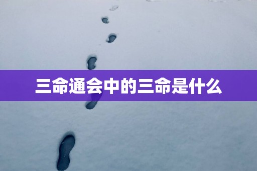 三命通会中的三命是什么