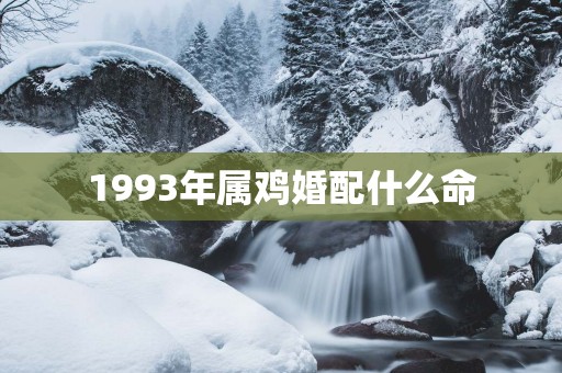 1993年属鸡婚配什么命