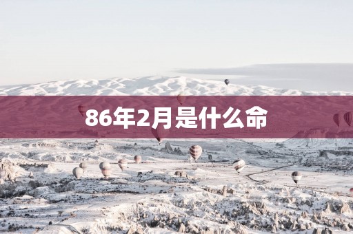 86年2月是什么命